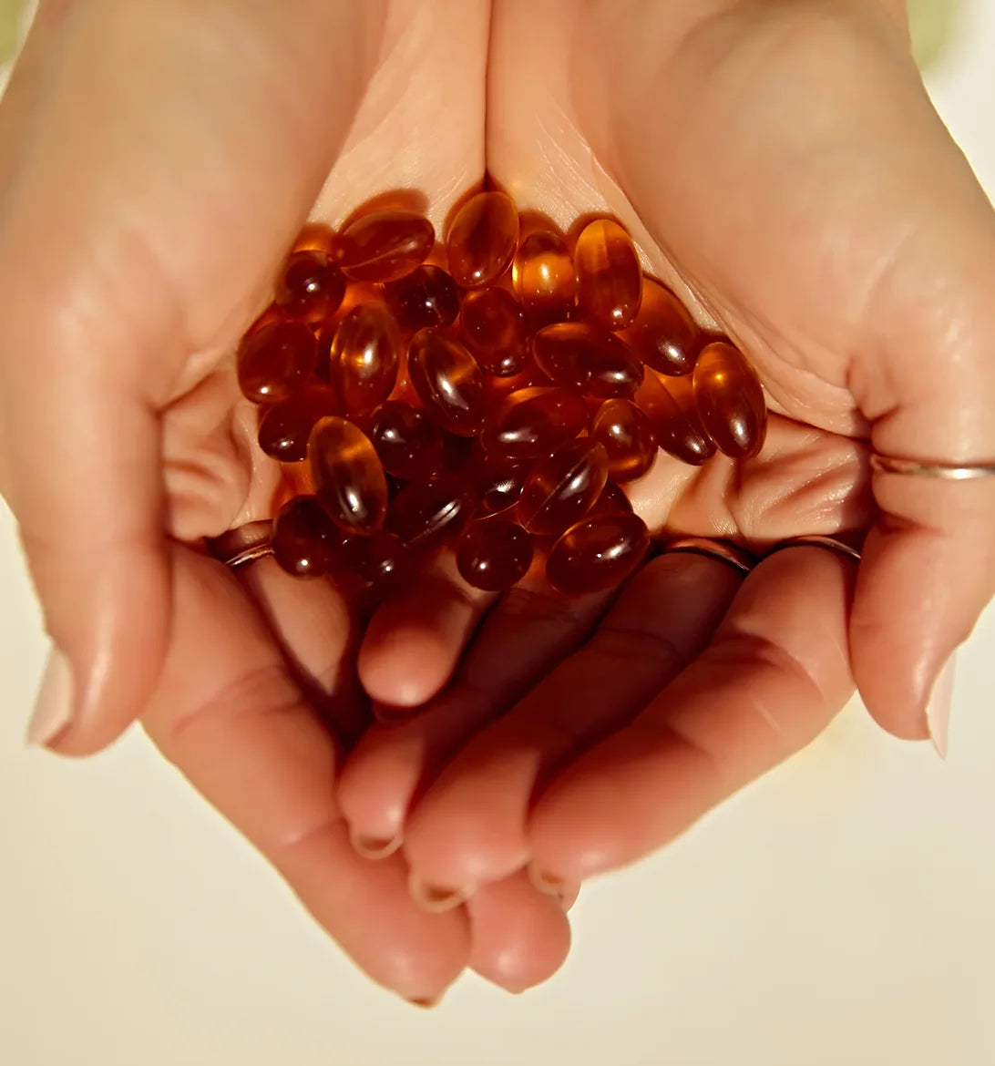 Black Seed Oil Vegan Softgels | Nigella sativa Dietary Supplement | 90 Count