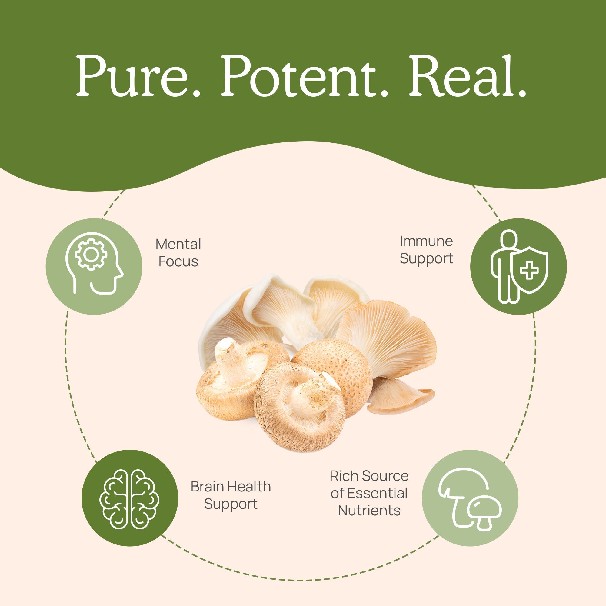 Real Mushrooms Ergo+ Ergothioneine 500 mg – Organic Mushroom Antioxidant Dietary Supplement, Vegan Capsules, 60 Count