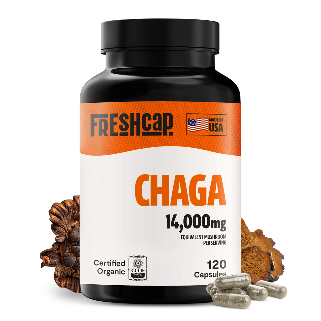 Chaga Mushroom Capsules – Dietary Supplement