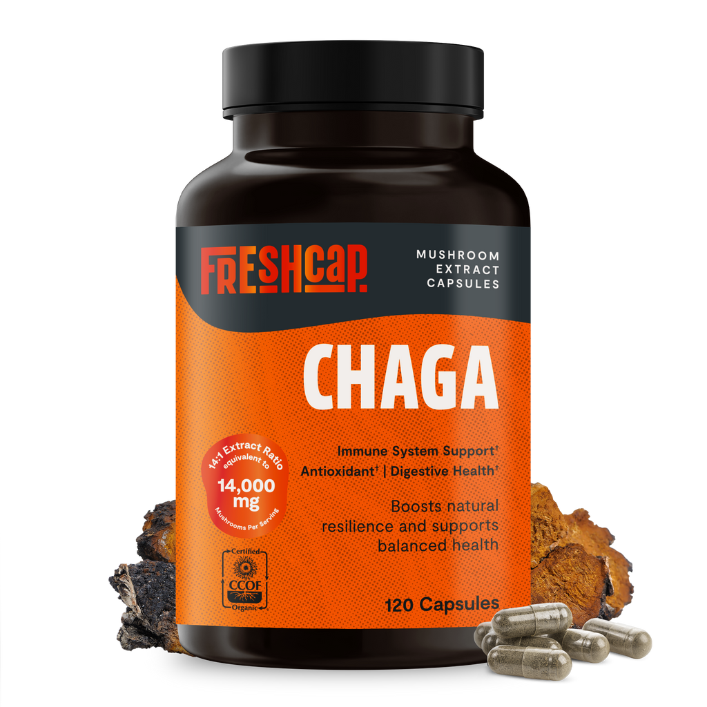 Chaga Mushroom Capsules – Dietary Supplement