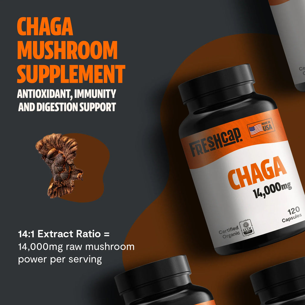 Chaga Mushroom Capsules – Dietary Supplement