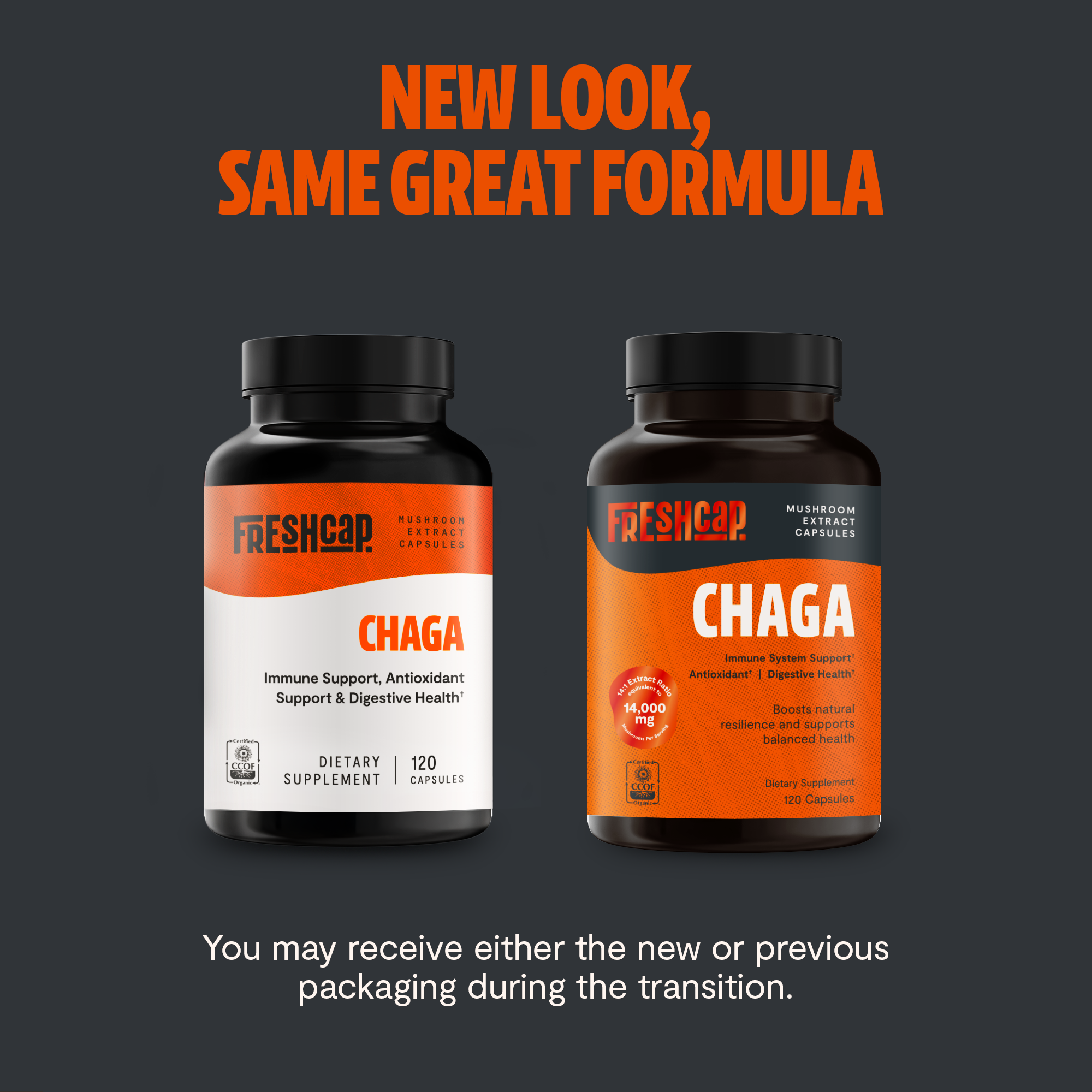 Chaga Mushroom Capsules – Dietary Supplement