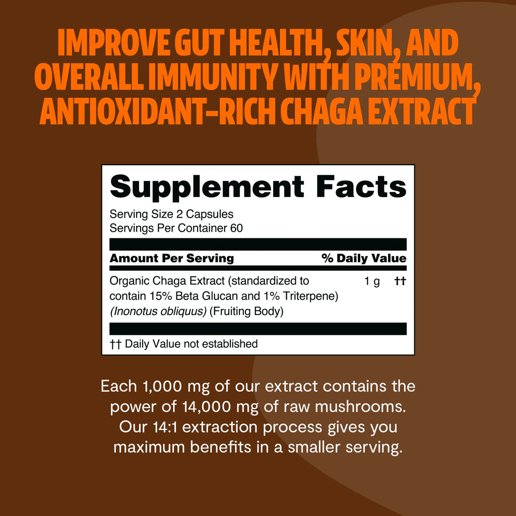 Chaga Mushroom Capsules – Dietary Supplement
