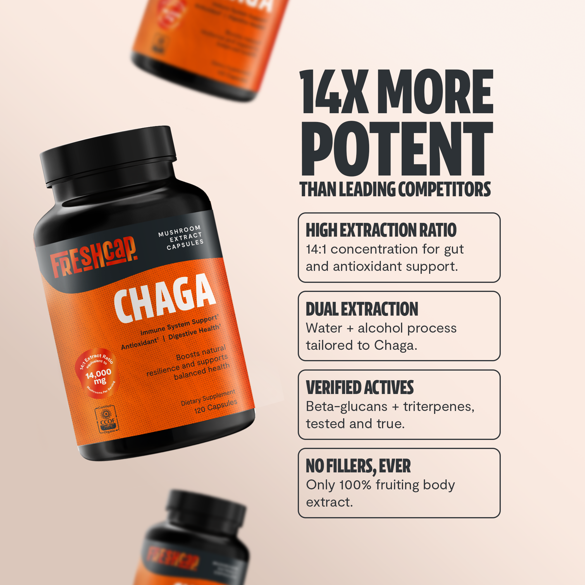 Chaga Mushroom Capsules – Dietary Supplement
