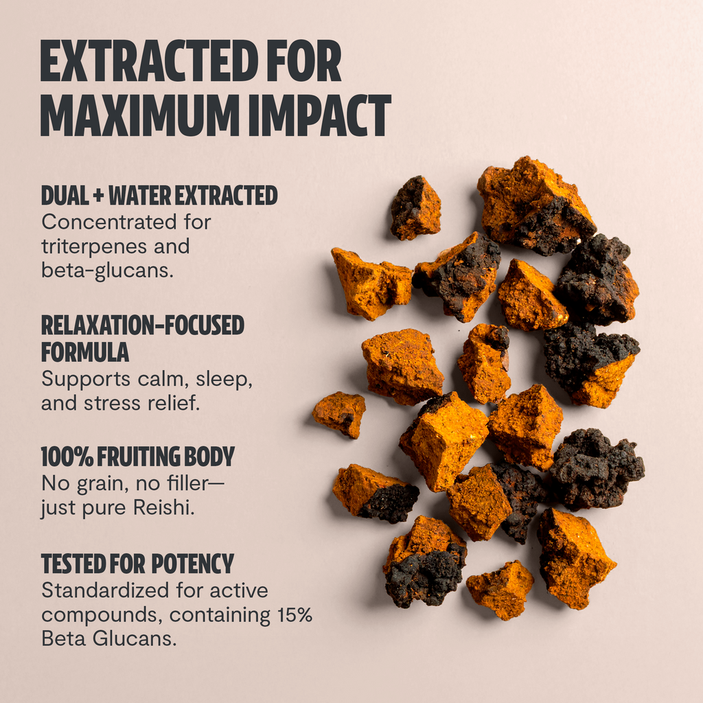 Chaga Mushroom Capsules – Dietary Supplement