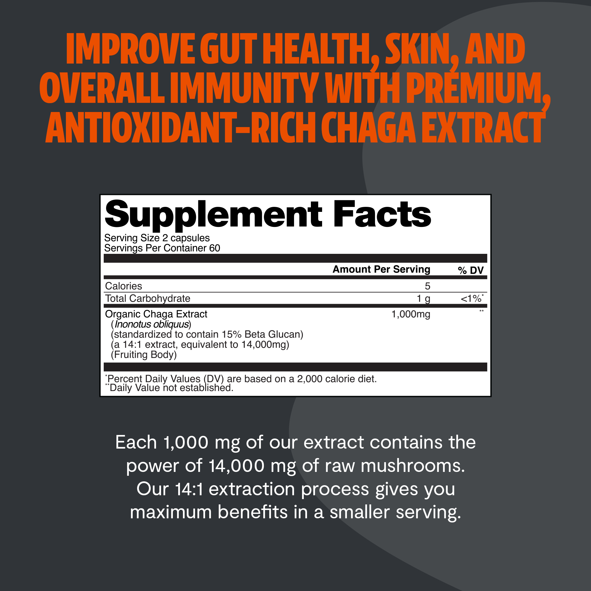 Chaga Mushroom Capsules – Dietary Supplement