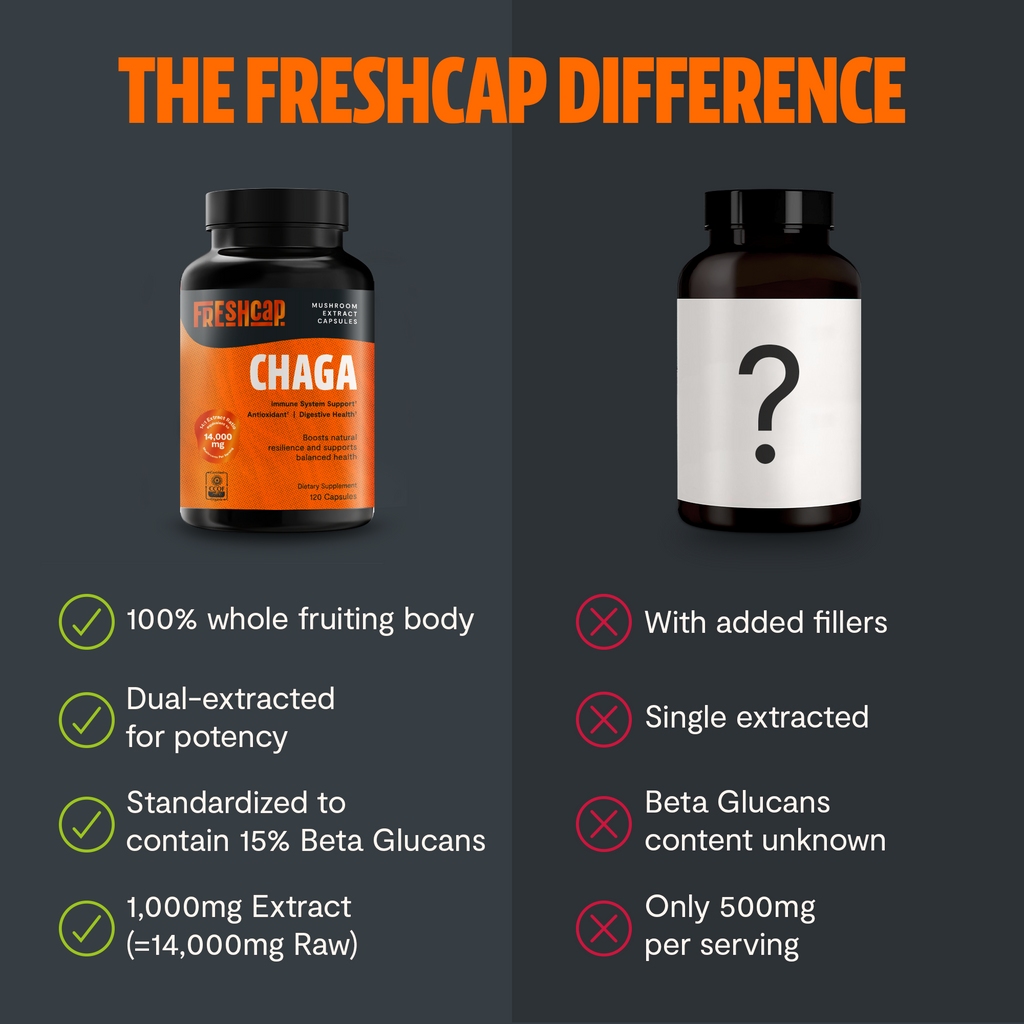 Chaga Mushroom Capsules – Dietary Supplement